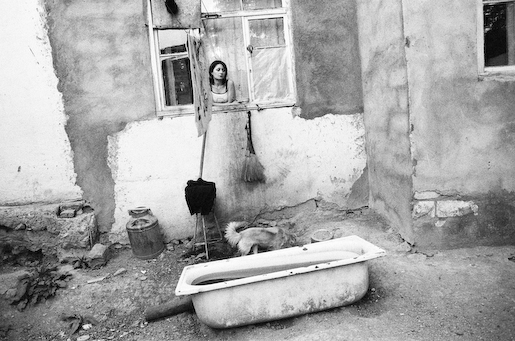 Backyard, Shushi, 2006